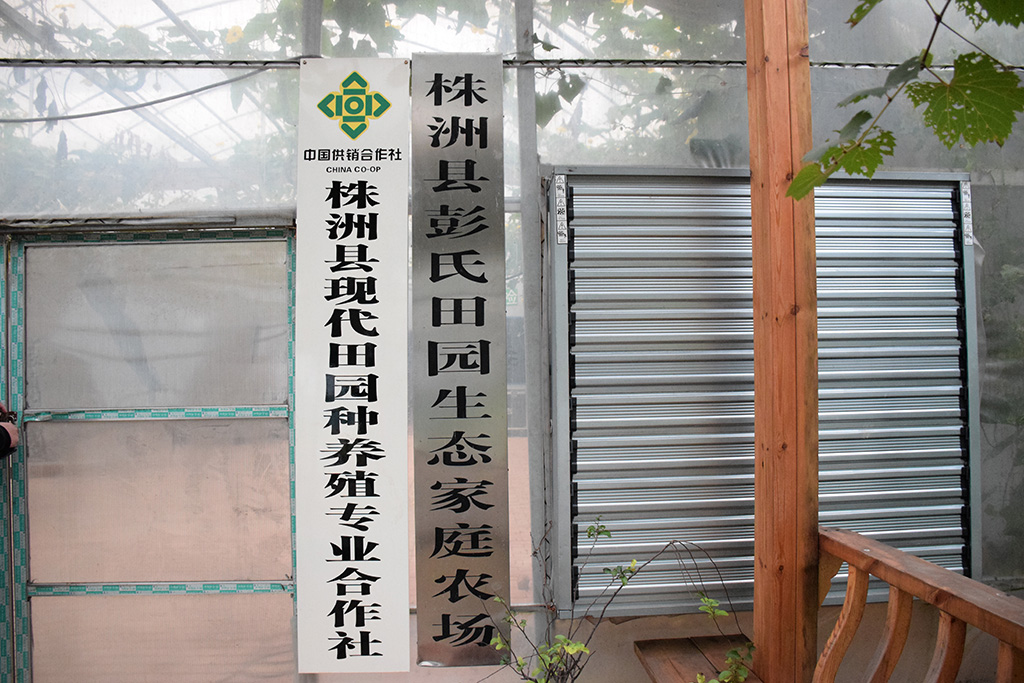 合作社挂牌.jpg